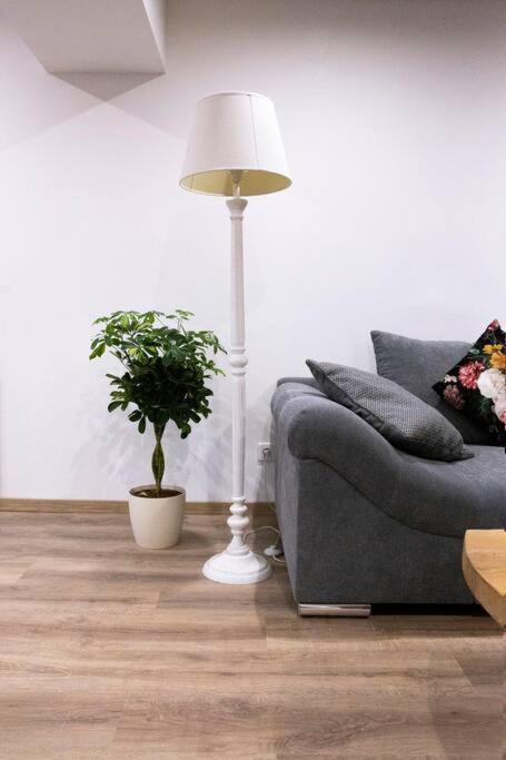 Le Logis D'Alsace, Wifi,Tv,Parking,70 M2 Apartment Ettendorf Exterior foto
